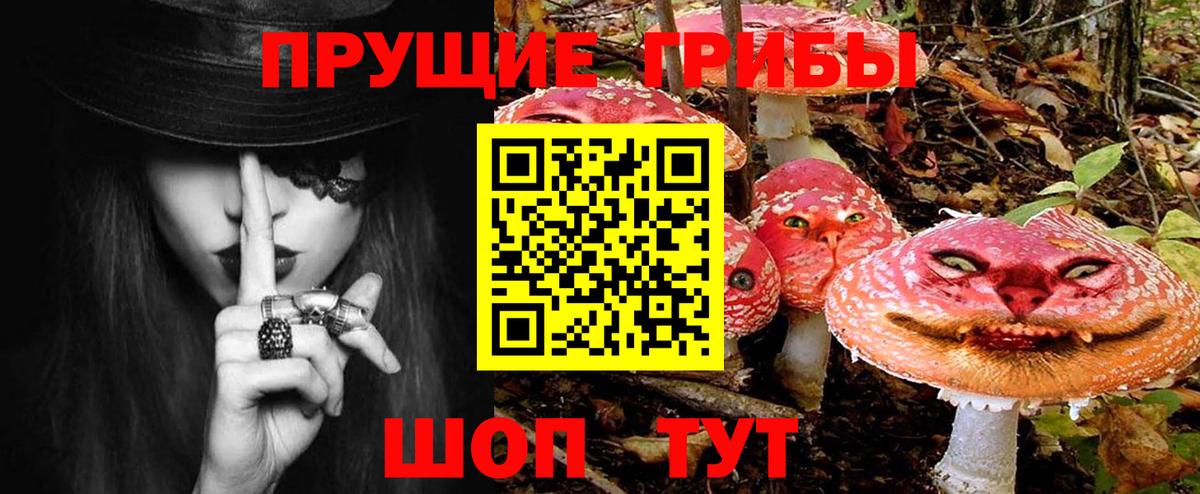 Галлюциногенные грибы MAGIC MUSHROOMS  где купить наркоту  Псилоцибиновые грибы Psilocybine cubensis  Советск  Вход с VPN 
